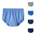 thumbnail image 1 of CFLVAEK Underwear Briefs for Elder Women Plus Size High Waist Brief Breathable Cotton Panties Comfort Full Coverage Panty(Dark Blue L), 1 of 5