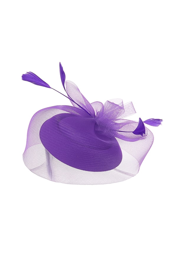 Tea Party Accessories, Fascinators for Women Tea Party Headband Hat Mesh Hair Clip for Wedding Cocktail and Church