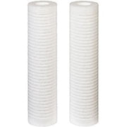 CFS AquaPure 5620406 Compatible Replacement Filters 2 Pack