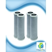 CFS COMPLETE FILTRATION SERVICES EST.2006 4-Pack Replacement American Plumber WF