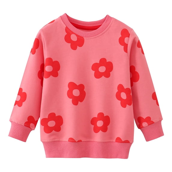 CFXNMZGR Toddler Long Sleeve Shirt Girls' Long Sleeve Tees Casual Graphic Crewneck Fall Top Clothes T Shirts (Pink,2 Years)
