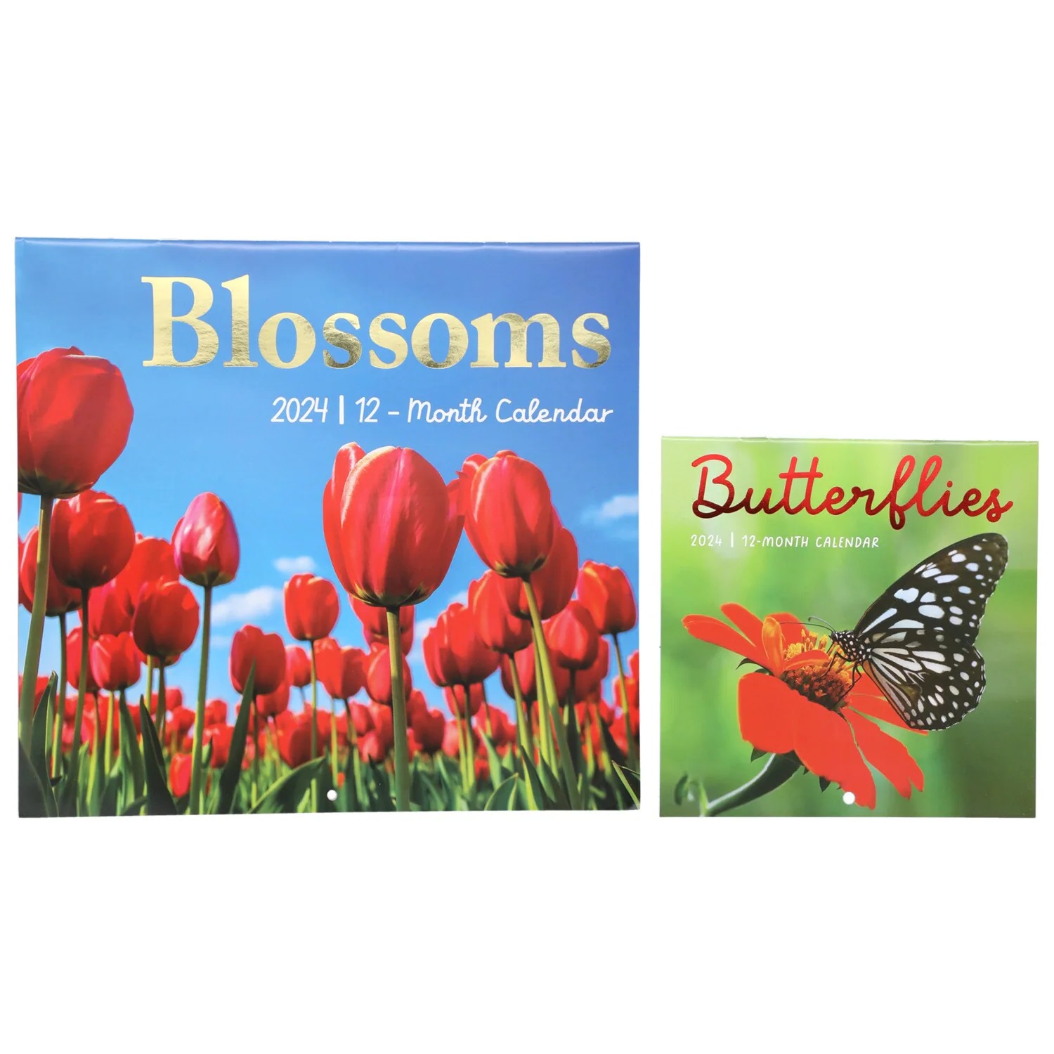 CGT 2024 Monthly Wall Calendar Blossoms & Butterflies Mini Calendars 12
