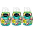 CGT Renuzit After the Rain Gel Air Freshener Summer Spring NonStop