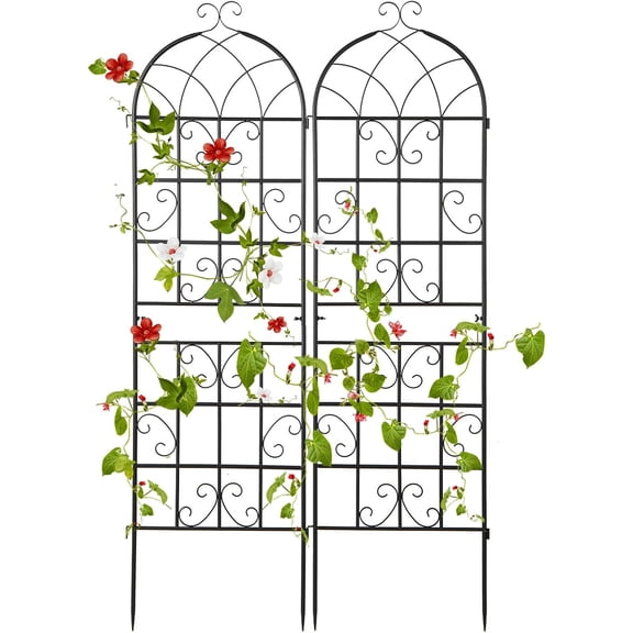 CGTER 2 Pack Trellis for Climbing Plants Outdoor, 6 FT Tall Galvanized Steel Garden Trellis for Patio Lawn Wall Decor, Plant Trellis for Vine Cucumber Tomato Flower Clematis Roses