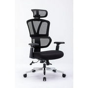 CHAIR MASTER Ergonomic High Back Mesh Office Chair, 3D Armrest, Adjustable Headrest, Variable Tilt (Nylon Casters)