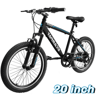 Nakamura bikes 20 inch sale