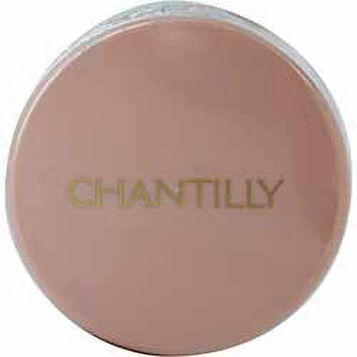 CHANTILLY by Dana DUSTING POWDER 1.75 OZ