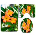 thumbnail image 1 of CHAPLLE Beautiful Orange Primroses 3 Piece Bathroom Rugs Set Bath Rug Contour Mat and Toilet Lid Cover, 1 of 2
