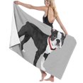 thumbnail image 1 of CHAPLLE Boston Terrier 3 Piece Bathroom Rugs Set Bath Rug Contour Mat and Toilet Lid Cover, 1 of 2