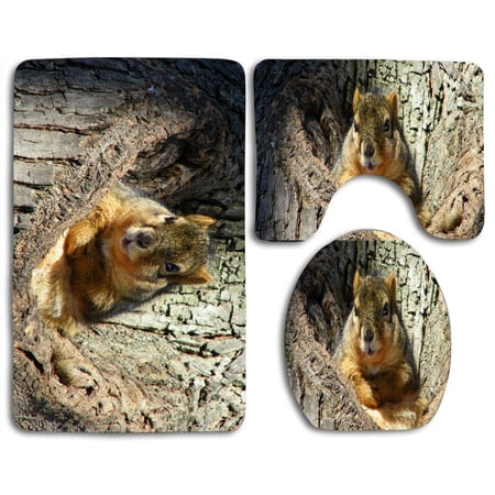 CHAPLLE Cute Squirrel 3 Piece Bathroom Rugs Set Bath Rug Contour Mat and Toilet Lid Cover