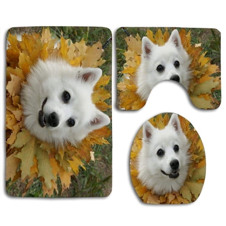 CHAPLLE Fall Funny Dog Wear Leaves Crown 3 Piece Bathroom Rugs Set Bath Rug Contour Mat and Toilet Lid Cover
