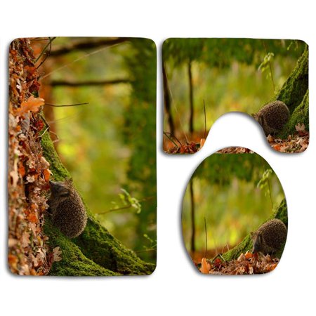 CHAPLLE Hedgehog Under Tree 3 Piece Bathroom Rugs Set Bath Rug Contour Mat and Toilet Lid Cover