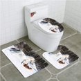 thumbnail image 1 of CHAPLLE Horses Legendary Appaloosa Pony and Sable Border Collie Runs Gallop in Winter Photo 3 Piece Bathroom Rugs Set Bath Rug Contour Mat and Toilet Lid Cover, 1 of 2