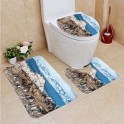 CHAPLLE King Cormorant Colony in Beagle Channel 3 Piece Bathroom Rugs Set Bath Rug Contour Mat and Toilet Lid Cover