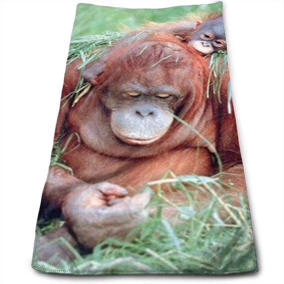 CHAPLLE Orangutan and Baby Wildlife Nature 3 Piece Bathroom Rugs Set Bath Rug Contour Mat and Toilet Lid Cover