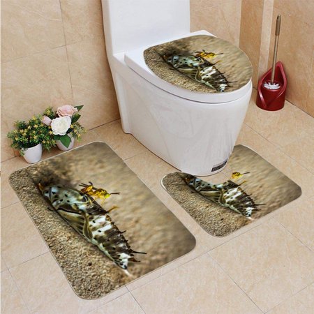 CHAPLLE Parasitic wasp Laying Eggs in a Butterfly Chrysalis Amazon Jungle Madre de Dios Puerto Maldonado Peru 3 Piece Bathroom Rugs Set Bath Rug Contour Mat and Toilet Lid Cover
