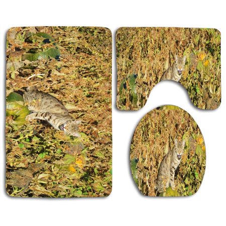 CHAPLLE Pumpkin Kitty 3 Piece Bathroom Rugs Set Bath Rug Contour Mat and Toilet Lid Cover