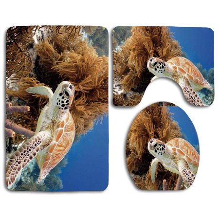 CHAPLLE Turtle Coral Reef and Sea Turtle Close Up Photo Bonaire Island Waters Maritime 3 Piece Bathroom Rugs Set Bath Rug Contour Mat and Toilet Lid Cover