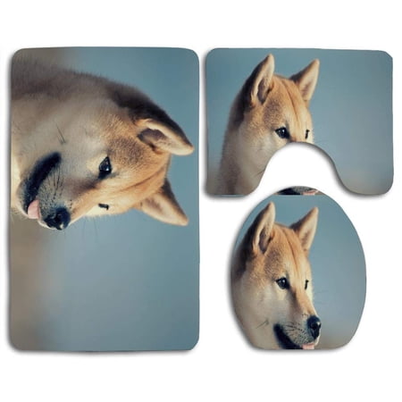CHAPLLE an Ordinary Day Turns Into A Special One If I 3 Piece Bathroom Rugs Set Bath Rug Contour Mat and Toilet Lid Cover