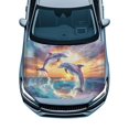 thumbnail image 1 of CHAQLIN Elastic Fabrics Car Hood Cover for Winter Stretch Fabric 39.37x59.05 in Car Hood Cover Protector Dolphin, 1 of 9