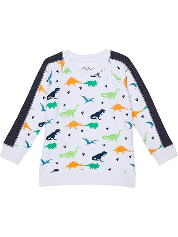 Boy's Dino Pullover (Little Kids/Big Kids) White 10 Big Kid