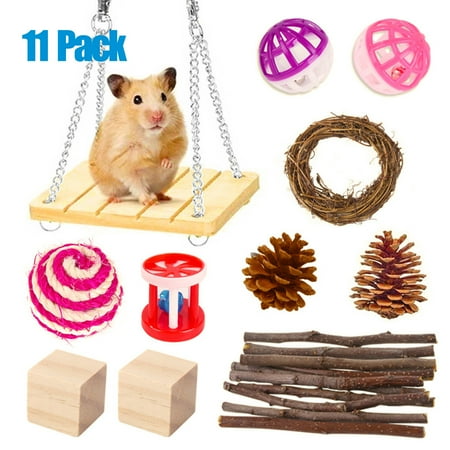 CHBORLESS 11 Pack Hamster Chew Toys Set Small Animal Molar Play Toys (Set1)