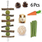 CHBORLESS 6 Pcs Hamster Chew Toy Small Animal Teeth Care for Guinea Pig,Rabbits,Chinchilla (Set2)