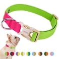 thumbnail image 1 of CHBORLESS Adjustable Dog Collar Colorful Pet Collar Webbing Soft Puppy Collar, 1 of 5