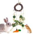 thumbnail image 1 of CHBORLESS Hamster Rabbits Cage Hanging Chew Toys Rattan Ring with Snacks (Set1), 1 of 7
