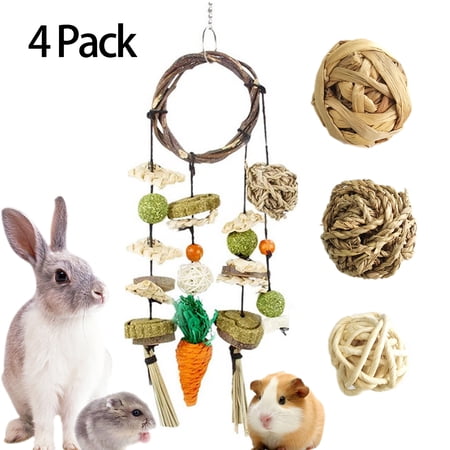 CHBORLESS Hamster Rabbits Cage Hanging Chew Toys Rattan Ring with Snacks Woven Grass Ball (Set2)