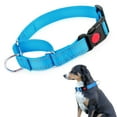 thumbnail image 1 of CHBORLESS Reflective Martingale Collar with Quick Snap Buckle Adjustable Nylon Dog Collar,Sky Blue,Small, 1 of 7