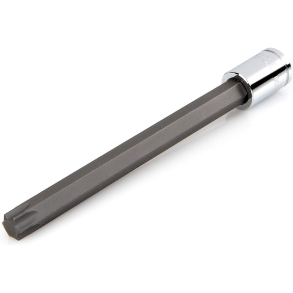 CHE-3/8 Inch Drive x T55 Long Torx Bit Socket | SHB14455