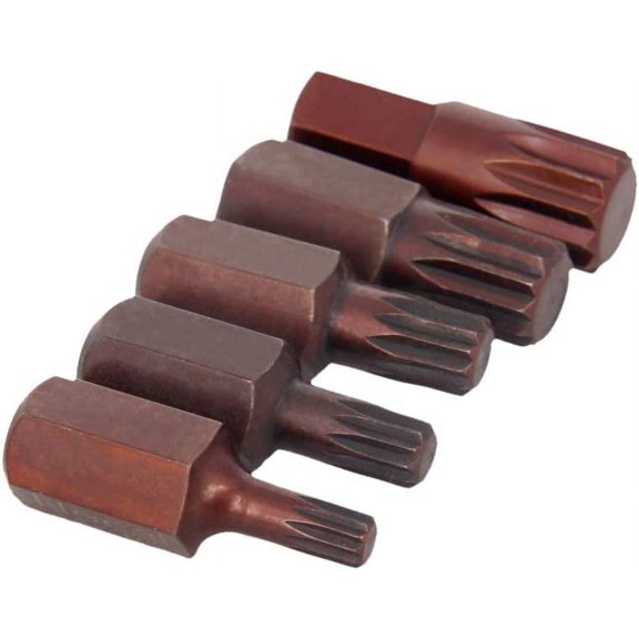 CHE-Torx Screwdriver Bits, 5 Piece Set 12 Point Spline Head Screw Driver Bit, with 10mm Hex Shank, 30mm Length S2 Steel Screw Driver Kit Tools, for Repair Work
