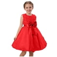thumbnail image 1 of CHEEREAM Floral Lace Dress For Girls Cute Sleeveless Flower and Bow Knot Decorated Tulle Princess Dresses for Birthday Party Elegant Gown For Kids, 1 of 9