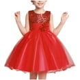 thumbnail image 1 of CHEEREAM Litter Girls Sleeveless Sequin Princess Dress Floral Lace Party Tutu Dresses Girl Flower Princess Mesh Tulle Pageant Wedding Gown Prom 3-10 Years, 1 of 4