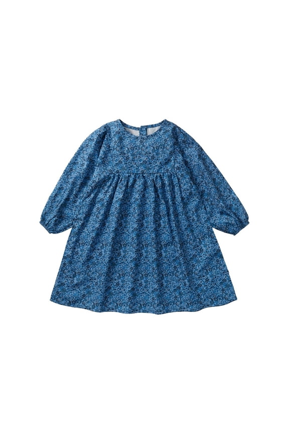 Toddler Girl Cute Floral Dress Long Sleeve Cotton A-line Fall Outfits Casual Spring Fall Playwear Swing Dresses