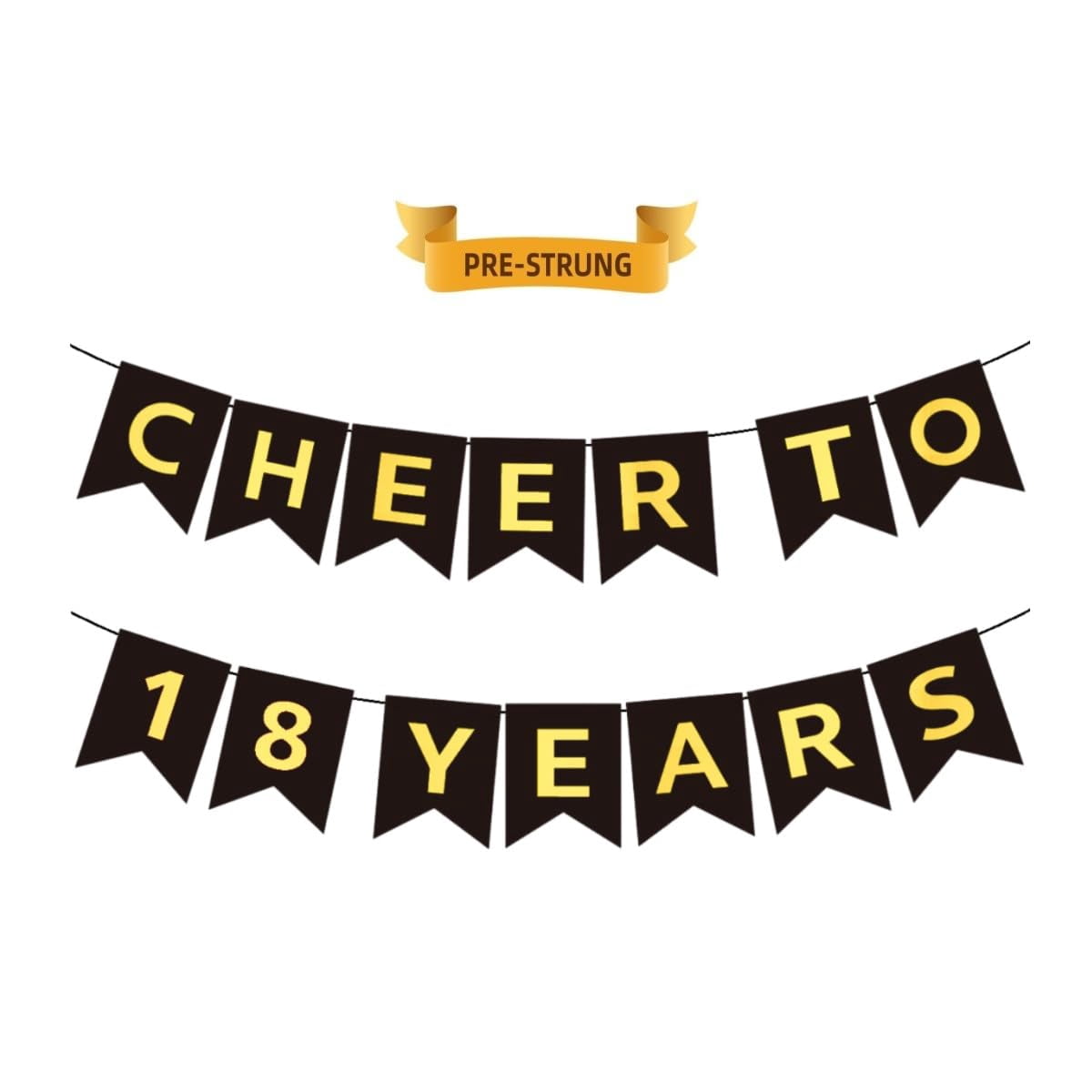 CHEERS TO 18 YEARS Banner, Pre-Strung, NSD3 Black Gold Birthday and ...