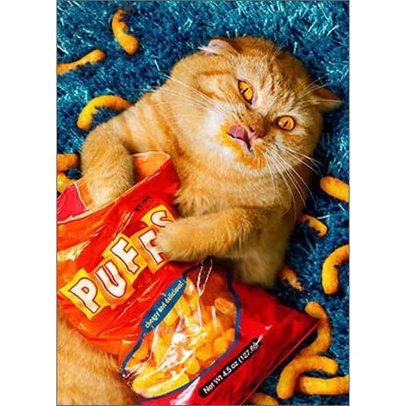 CHEESE PUFF CAT