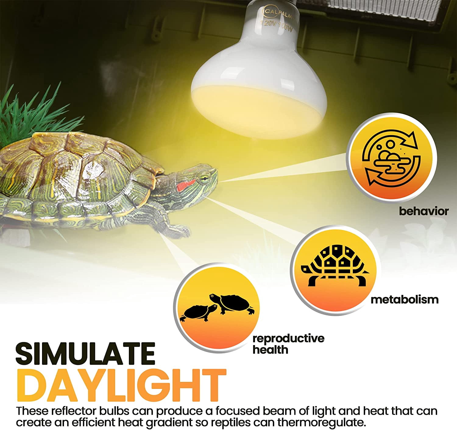 CHENGJIA (4-Pack 100W Reptile Heat Lamp Bulbs - UVA Daylight Basking ...