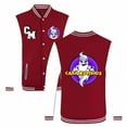 thumbnail image 1 of CHENGZHONGFS New Style Stand Collar Multicolor Baseball Jacket With Pockets Single Breasted Flight Jacket Fashionable Baseball Uniform School Uniform Game Uniform, 1 of 6