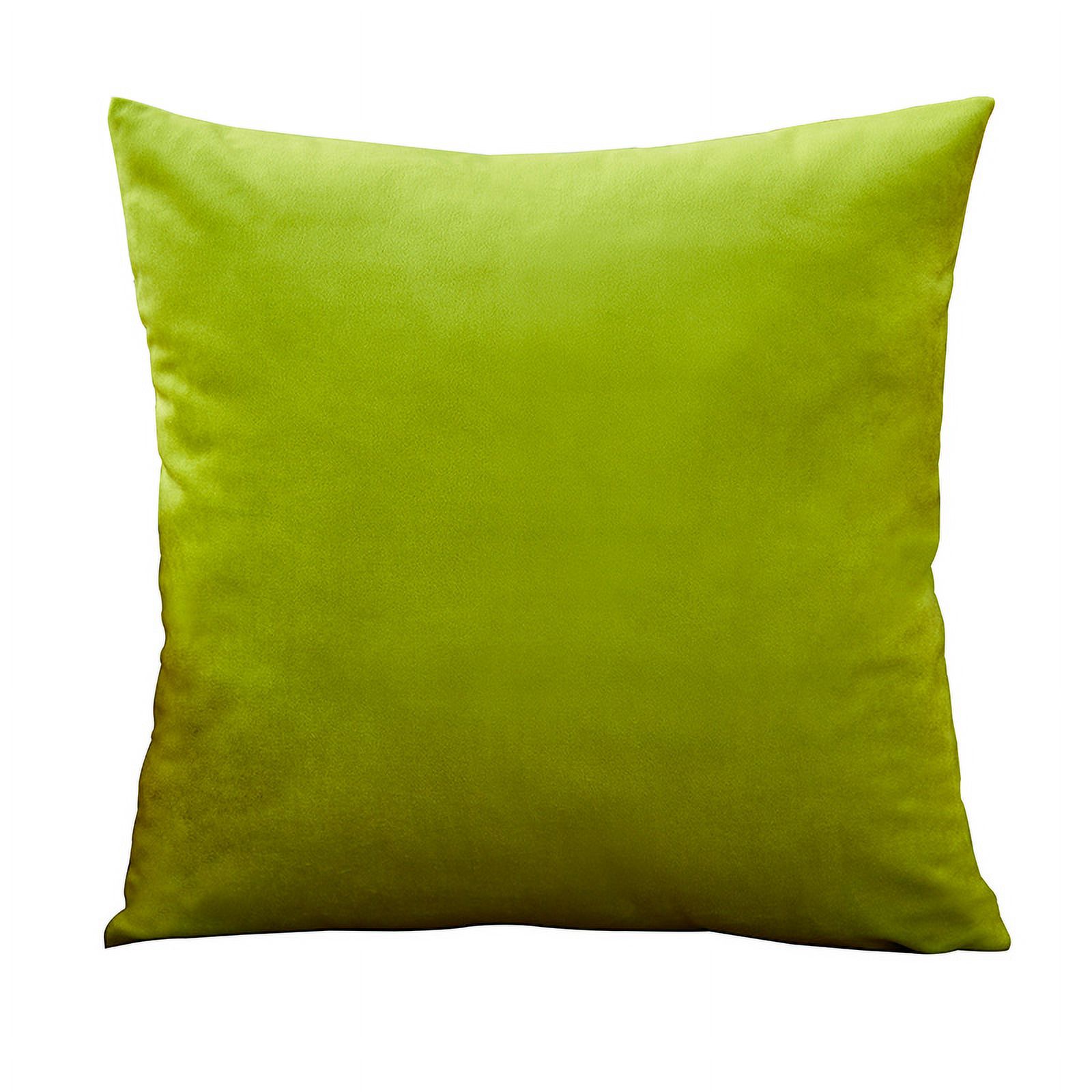 CHENHAINAN Velvet Cushion Cover Soft Pillow Cover 45x45 cm Pillow Case