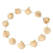 CHENZERO Party Taoist Performance Props Accessories Accessories Garlic Chest Necklace Exorcise Party Favors for Kids 4-8