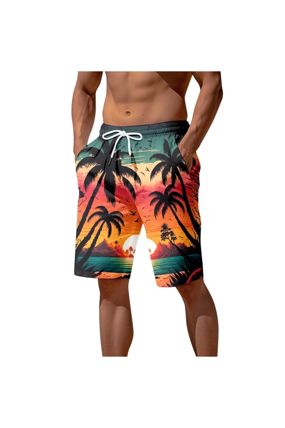 Men's Swim Trunks 9 Inch Loose Fit Funny/novelty Print Quick Dry Patriotic Swimming Trunks with Pockets Stretch Fabric Beach Wear