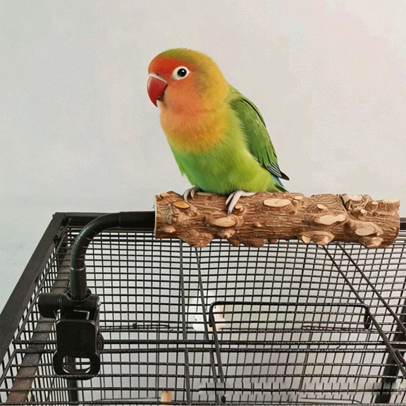 CHENjy Bird Perch Stand Adjustable Portable Parrot Stand with Clip for Cockatiels Conures Lovebirds Small Parrots Bird Cage Accessories Training Perch 5.9 in
