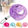 thumbnail image 1 of CHENjy Dog Sun Hat, Breathable Cotton Baseball Cap with Ear Holes, Adjustable Bucket Hat for Small Medium Dogs Beach Outdoor, L,Hot Pink, 1 of 7