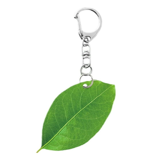 CHENjy Green Acrylic 2D Plant Decor Hanging Ornament for Car Interior Home Office Decor Lightweight Durable Versatile Nature Inspired Gift for Plant Lovers