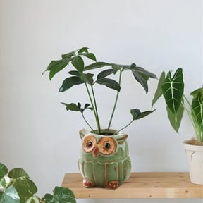 CHENjy Owl Planter, Ceramic Succulent Pot - Small Animal Flower Pot with Glaze Finish, Tiny Holder for Cactus, Plants, Flowers, Perfect for Home Desk, Shelf, Garden Decor