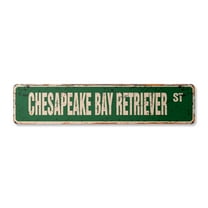 CHESAPEAKE BAY RETRIEVER Vintage Plastic Street Sign Name Room Sign | Indoor/Outdoor |  36" Wide