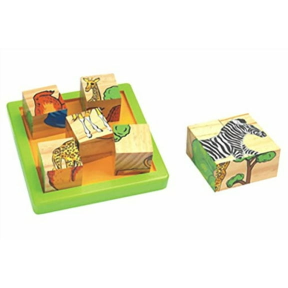 CHH Wooden Block Puzzle (9 Piece)