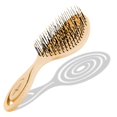 thumbnail image 1 of CHIARA AMBRA Organic Detangling Brush - No Tugging Detangler Brushes for Natural Thick & Curly Hair - Vegan Climate Neutral Straw Hairbrush - Orange, 1 of 7
